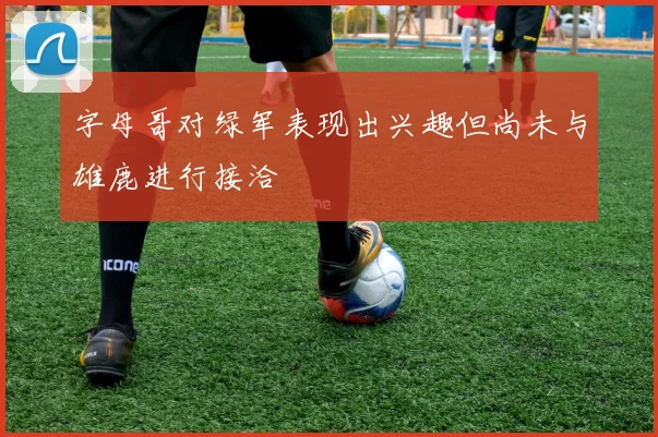 字母哥对绿军表现出兴趣但尚未与雄鹿进行接洽